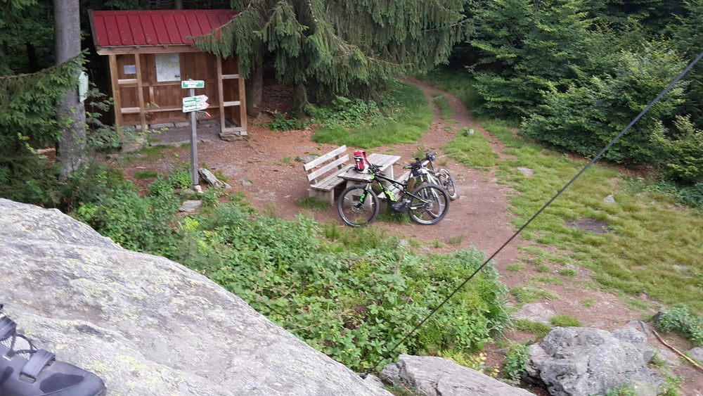 Dreitannen  Trail Abfahrt