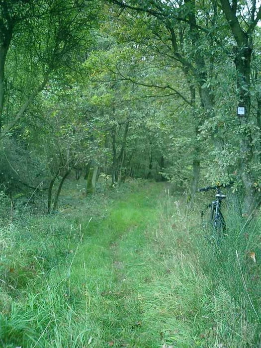 Nordsaarland, Hochwald, Trier auf einer langen Runde