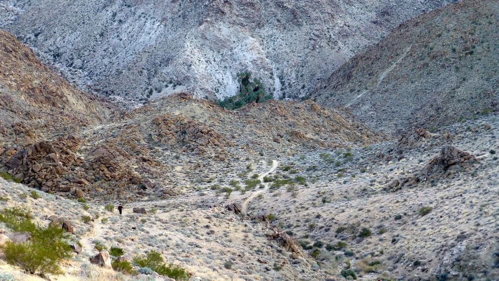 49 Palms Oasis in Sicht