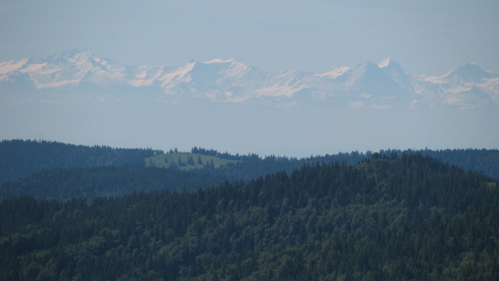 Achtgipfeltour im Hochschwarzwald