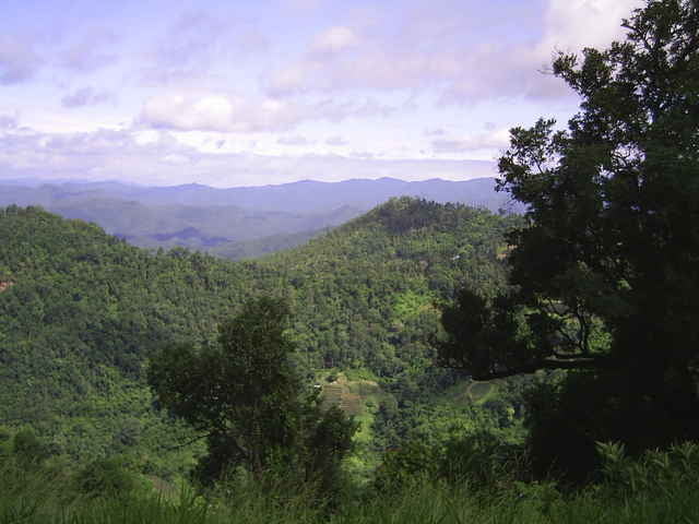 Rund um den Doi Pui