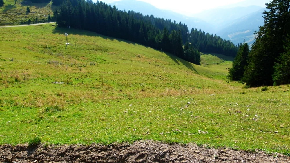 Klippitz round