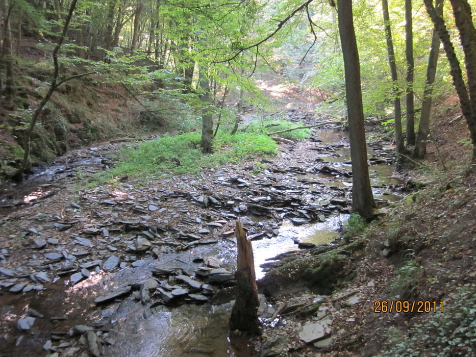 Baybachklamm im Hunsrück