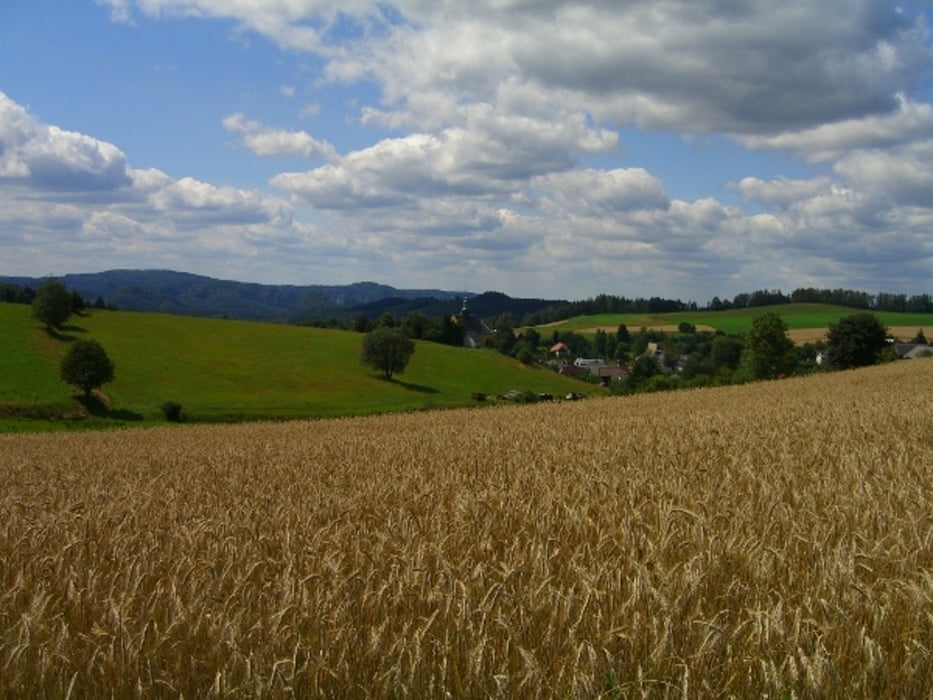 Panorama-Weg um Hinterhermsdorf