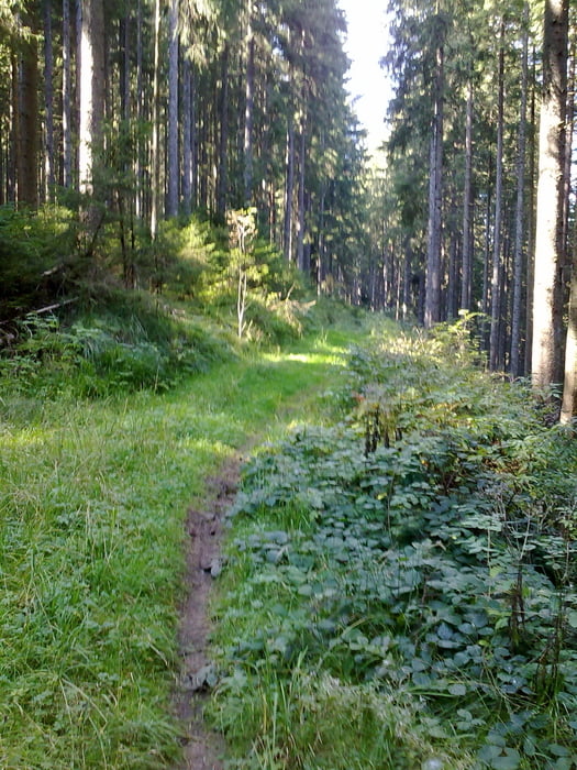 Biketour rund um Villingen im Schwarzwald