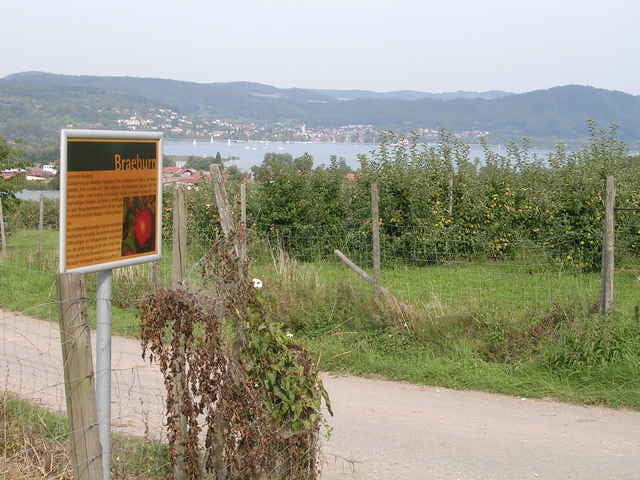 Genusstour um den Überlinger See