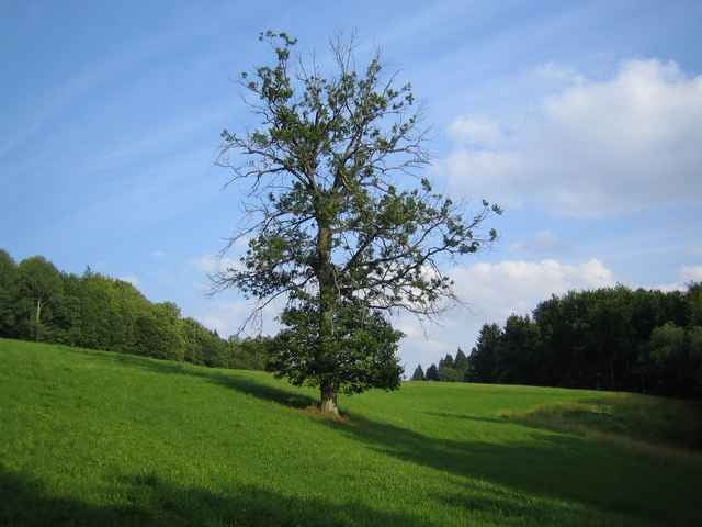 Frankenalb: Steinerne Rinne