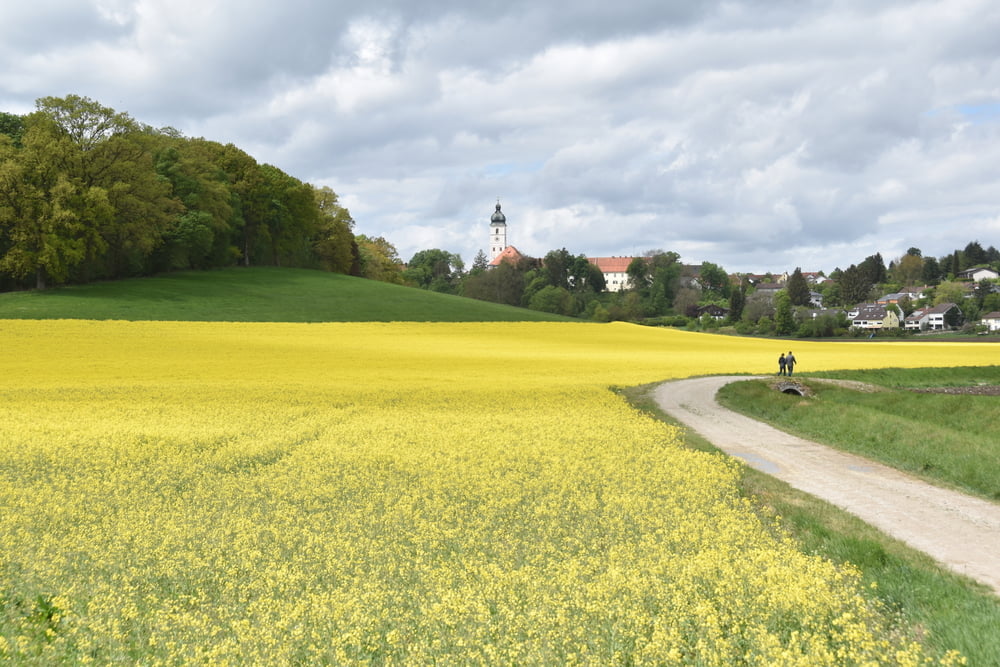 Haar-Weißenfeld-Oblfing-Ebersberger Forst-Frauenneuharting-Bruck-Glonn-Höhenkirchen-Haar-