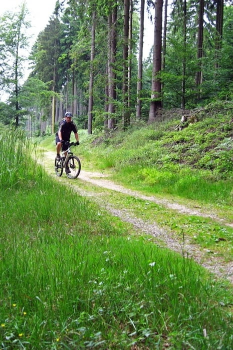 Auf Wegen und Trails durch den Königsforst