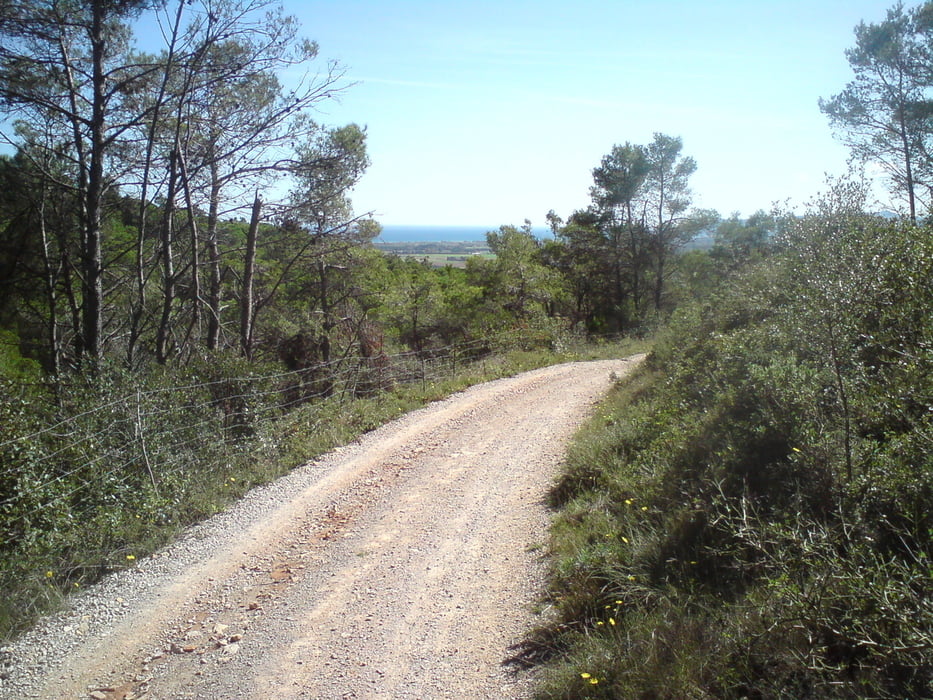 Nach Foixa
