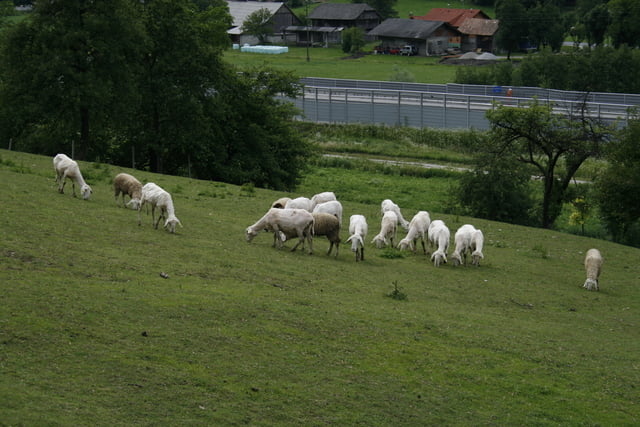 Limbarska gora iz Žirovš