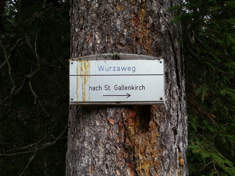 Von St. Gallenkirch nach Garfrescha - Rundweg