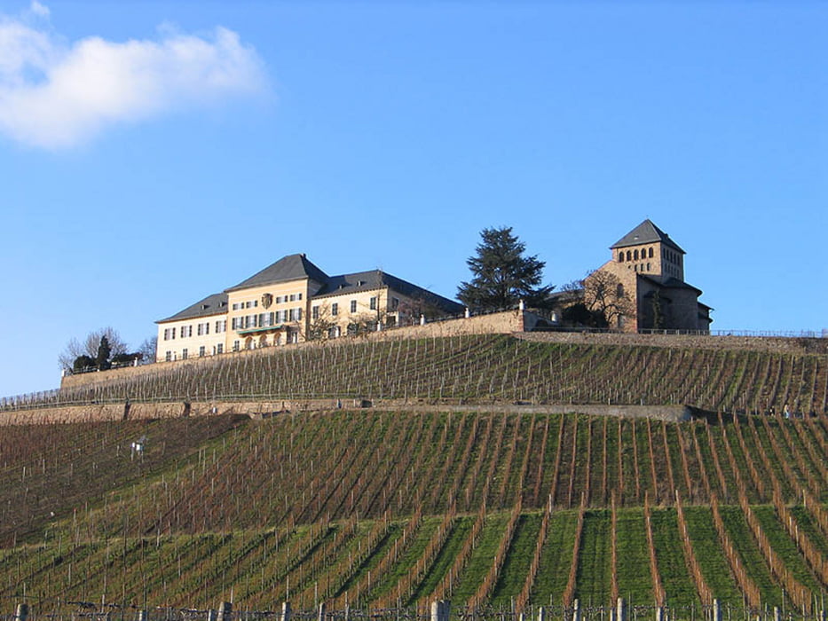 Rheingauwanderung - Klöster, Wein und Wald
