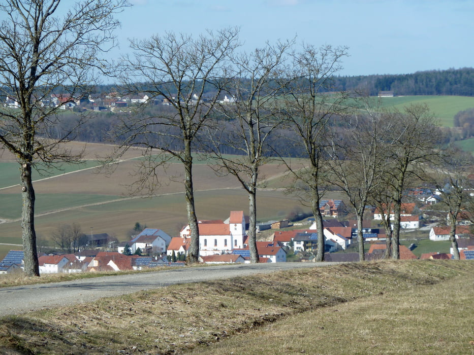 Monheimer Alb Rundweg Nr. 10 (Daiting)