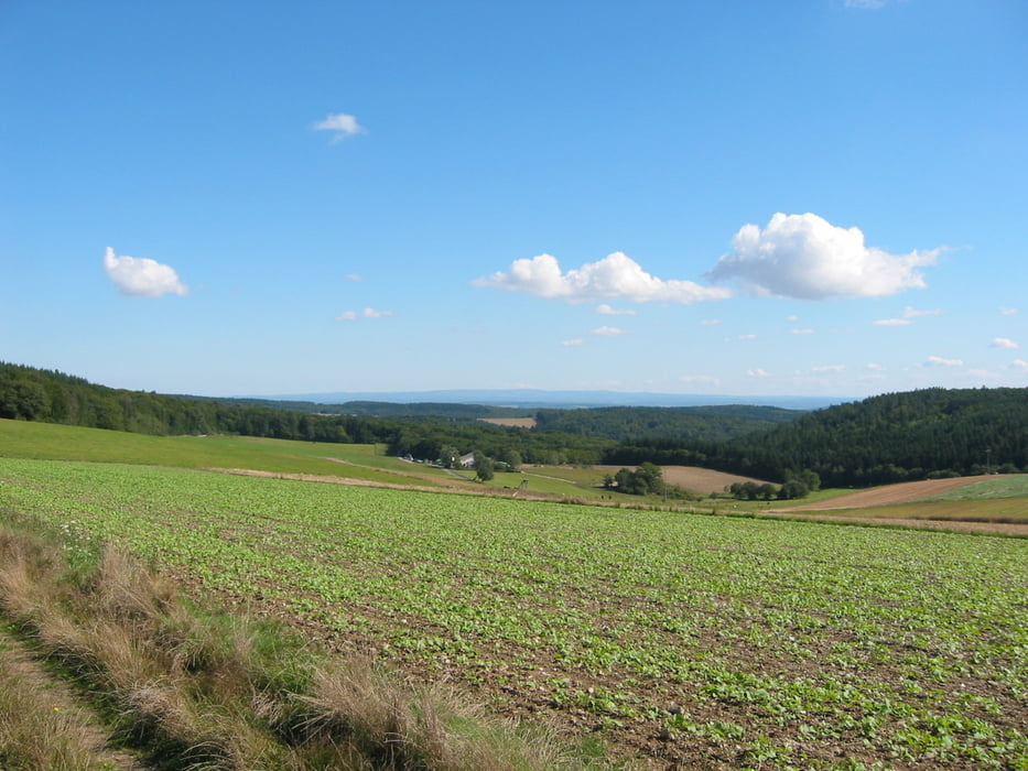 Tenne - schöne Tour im Hintertaunus
