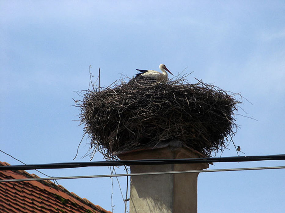 Zur Buschenschank nach Wagerberg
