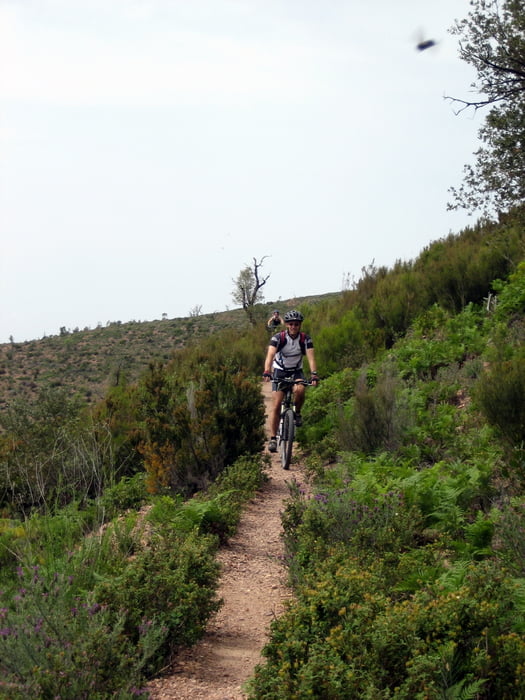 Esterel Monte Vinaigre-Trailabfahrt