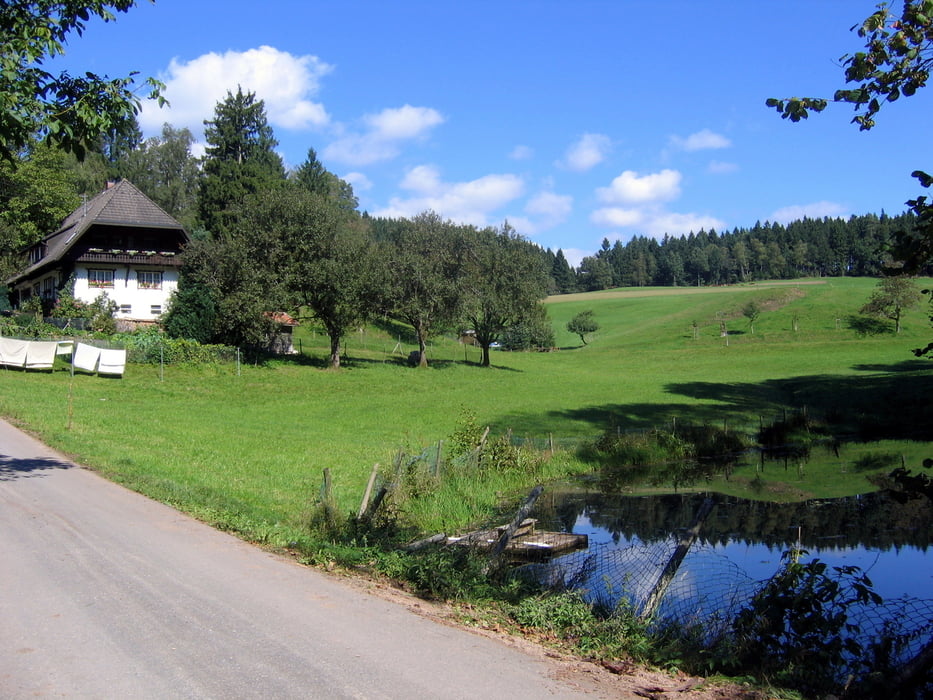 Oberwolfach Walke Rankachtal Littweger Höhe Baiersbronn
