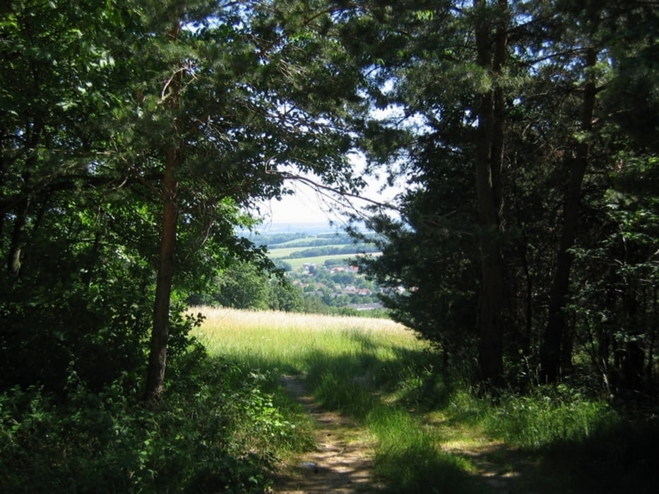 Herrentisch - Schwarzer Herrgott - Rieglerhütte
