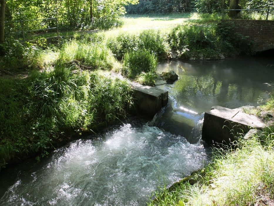 Neun Bäche im Augsburger Stadtwald Wanderserie Augsburger Allgemeine Mittelschwäbische Nachrichten