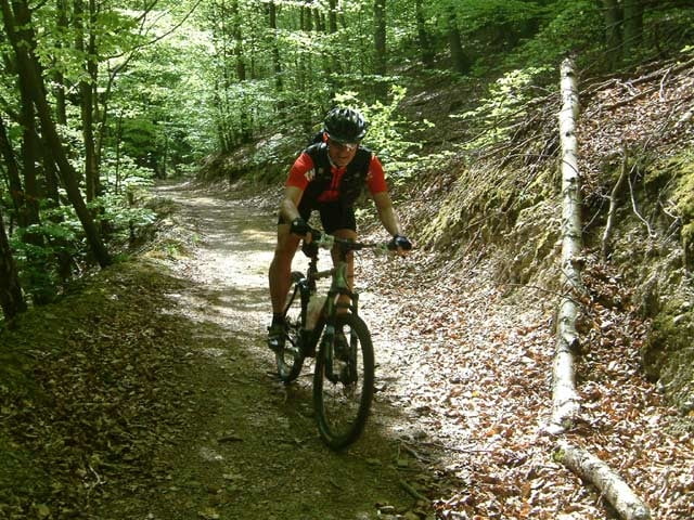 Ahrweiler Stadtwald - Steinthalskopf - Heckental