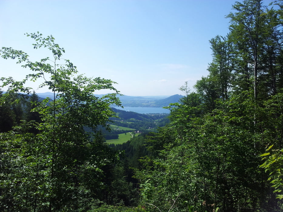 Weyregg Richtbergrunde 3 Trails