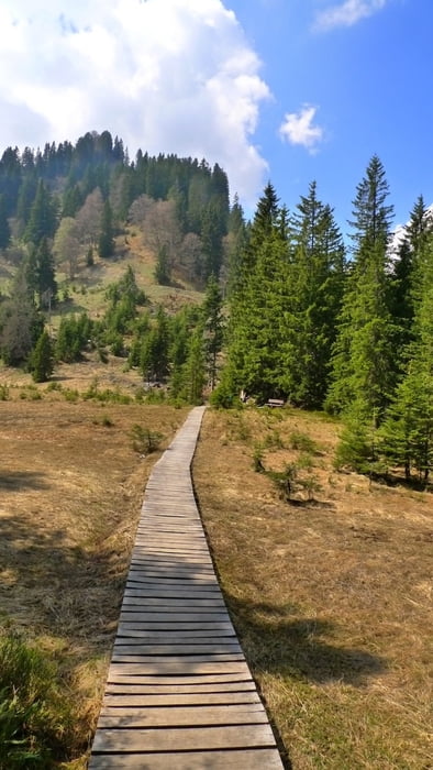 Hochmoortour
