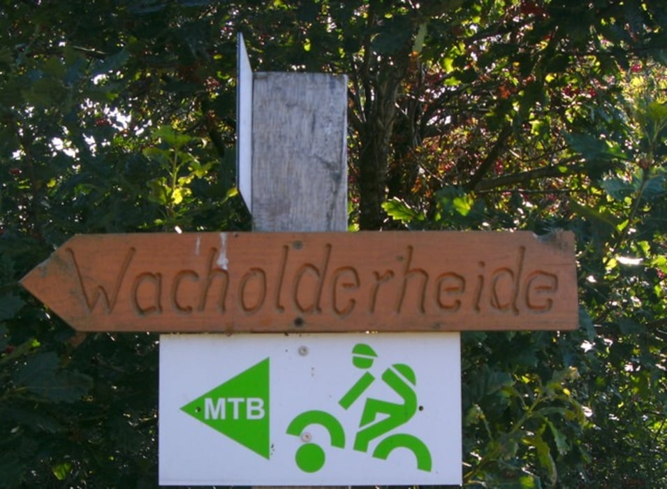 Wacholderheide