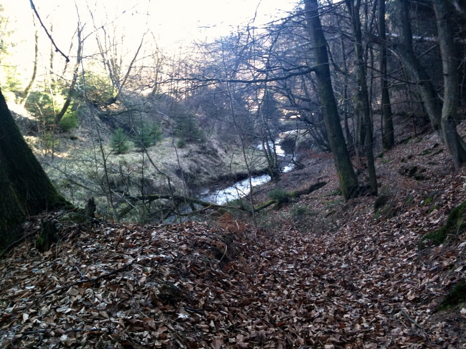 110306 Immekeppel 