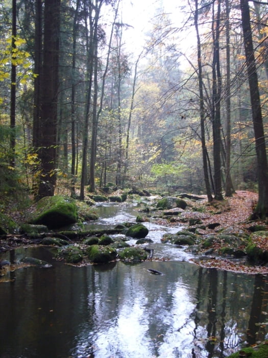 Höllbachtal