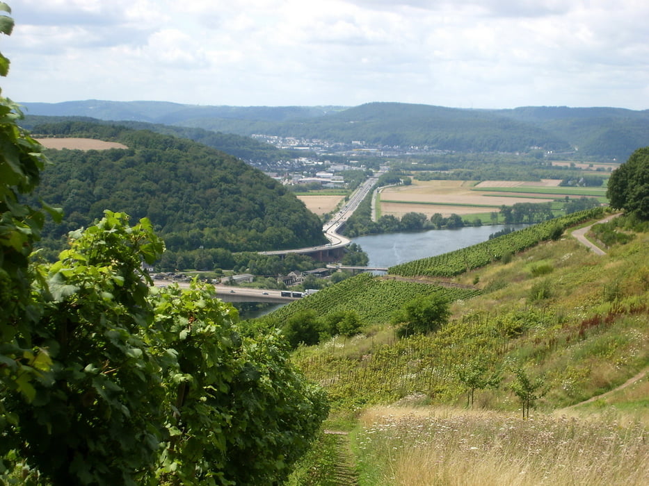 Rundweg Longuicher Weinberge