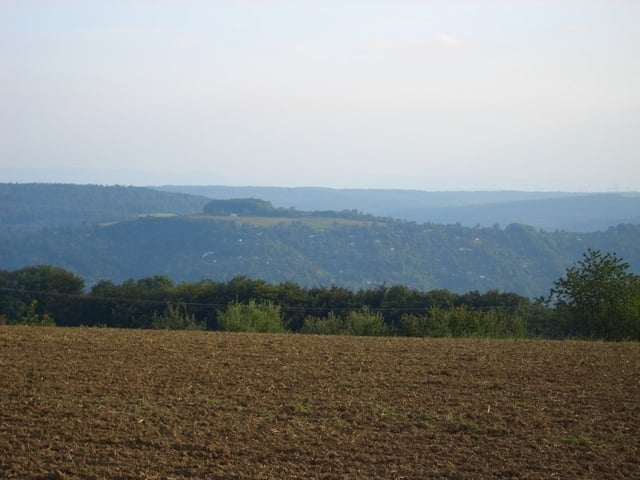 Korber Kopf Singletrail Runde