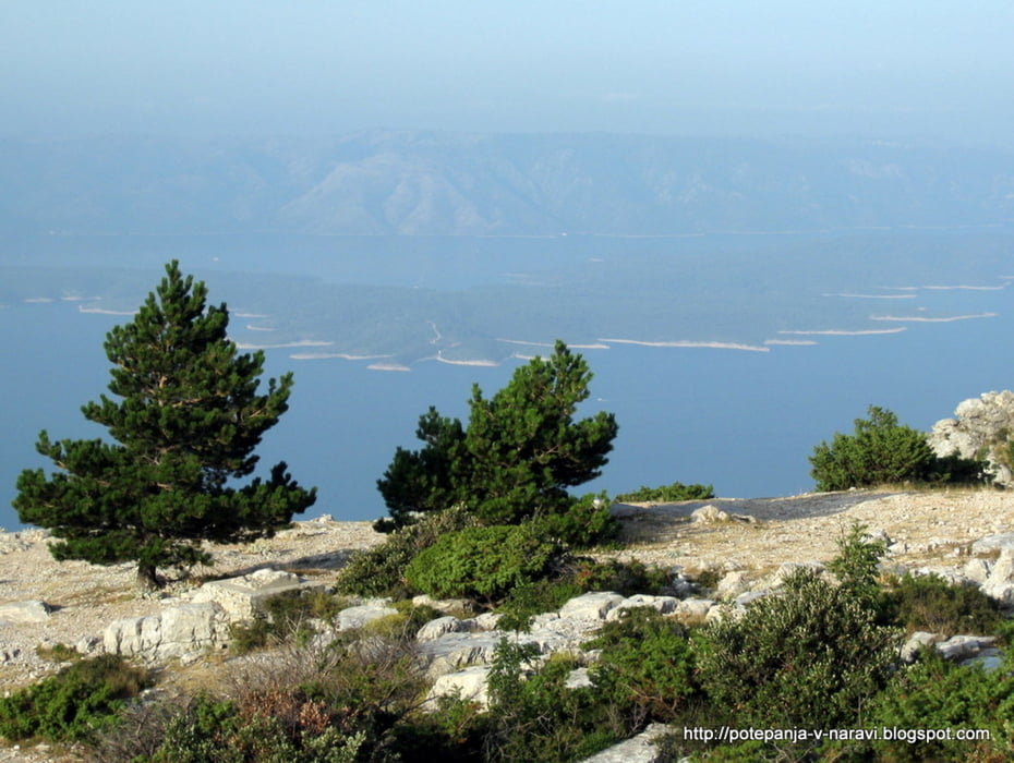 S soncem obsijani Hvar
