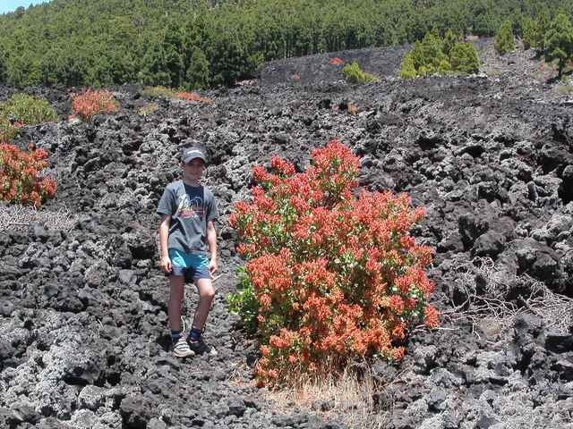 La Palma: Volcán de San Juan