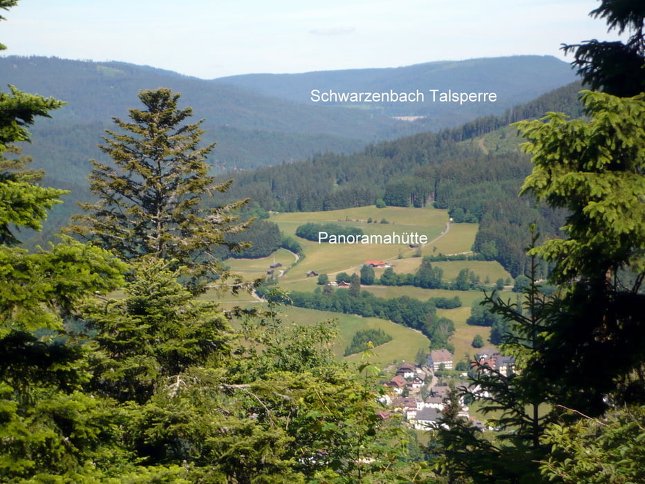Baiersbronn Besenfeld Poppeltal Rohnbachtal Toter Mann und zurück
