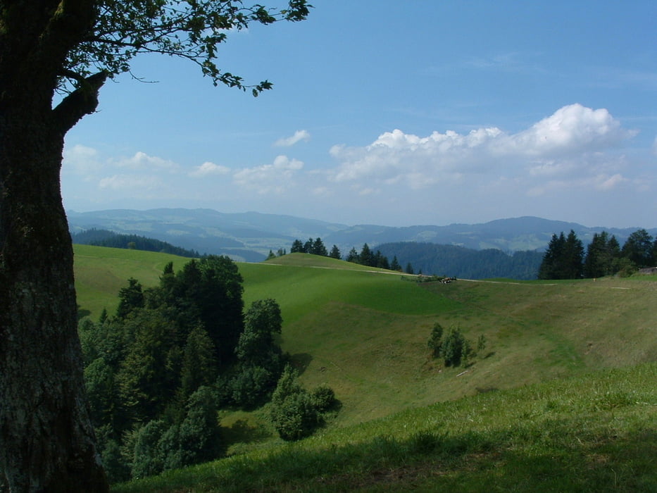 Lüderenalp-Moosegg