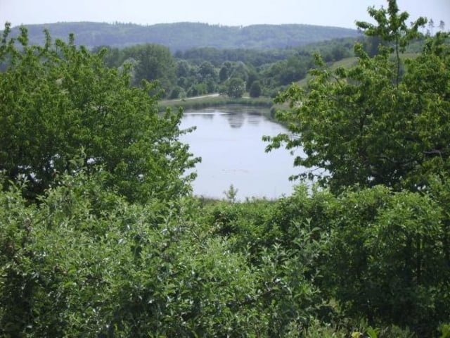 Salemer Klosterweiher