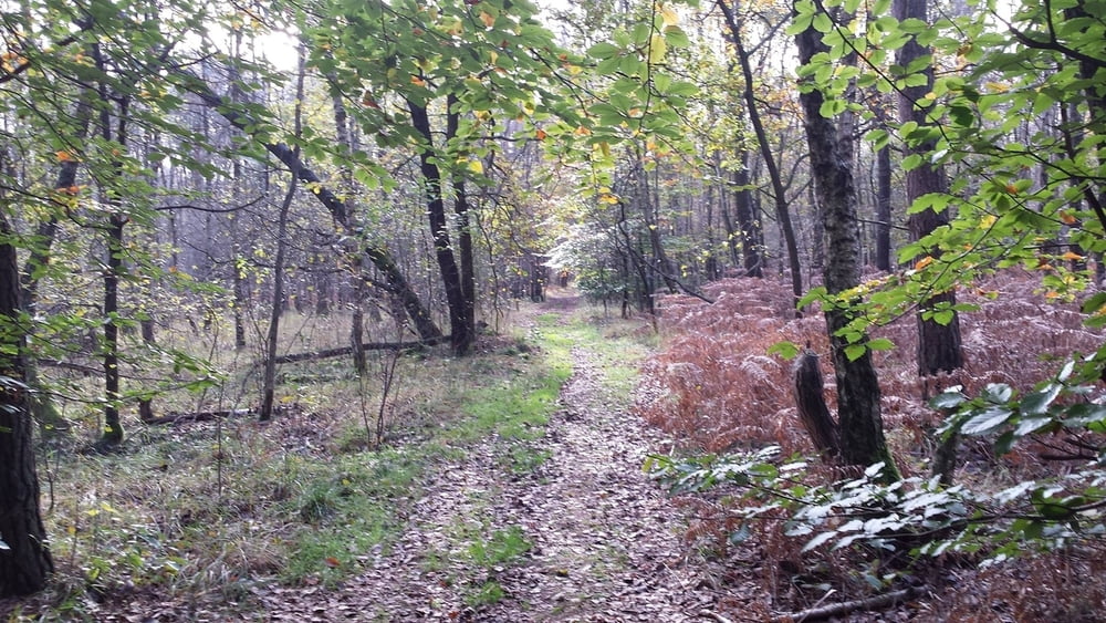 Schwalmquellen Rundtour