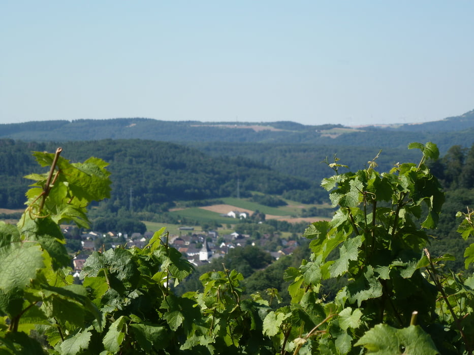 Konz - Altarm der Saar & Altenberg 