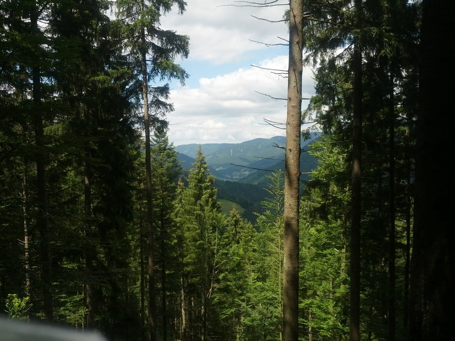 Rundtour: St.Peter-Simonswald-Kandel