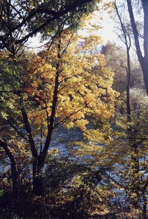 Lechhausen-Lechstaustufe 23 und zurück (Ufertrail)