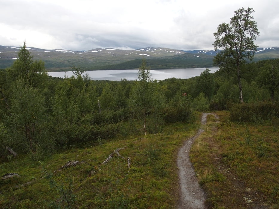 Kungsleden Kvikkjokk-Hemavan: Etappe #14: Tjärnasjö - Serve