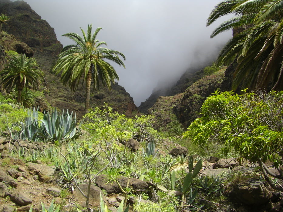 La Gomera - Wanderung zum Wasserfall - ausgehend vom Valle Gran Rey