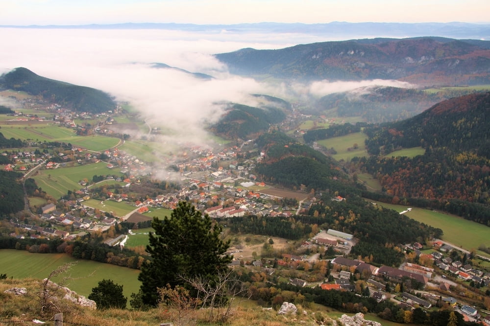 Blick auf Grünbach