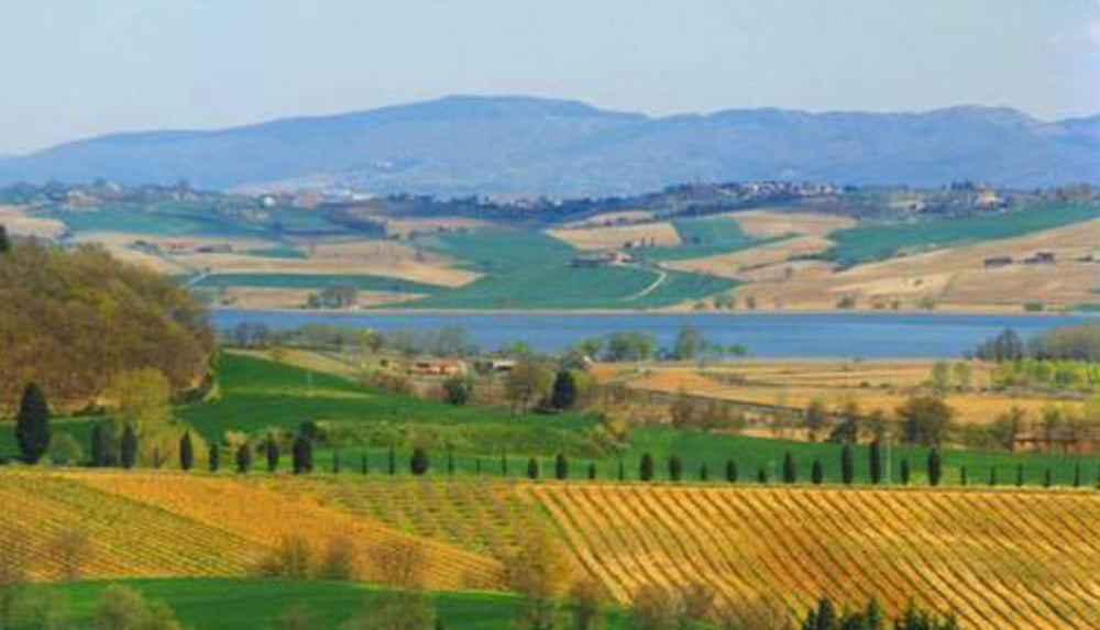Drei Seen: Lago di Trasimeno, Lago di Montepulciano, Lago di Chiusi