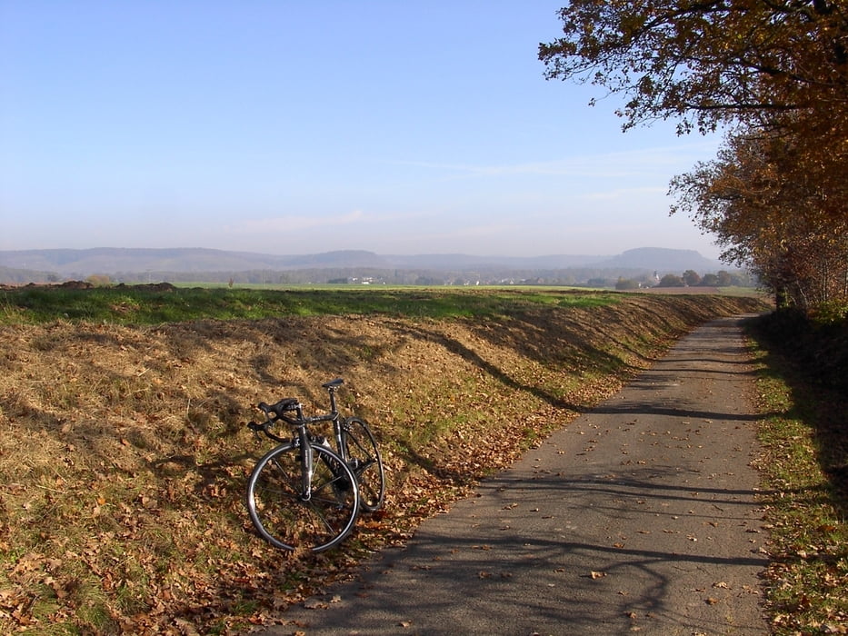 In die Pfalz nach Bad Bergzabern