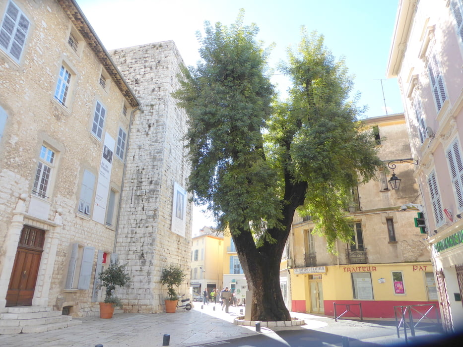 Von Vence zur Fondation Maeght in Saint-Paul-de-Vence