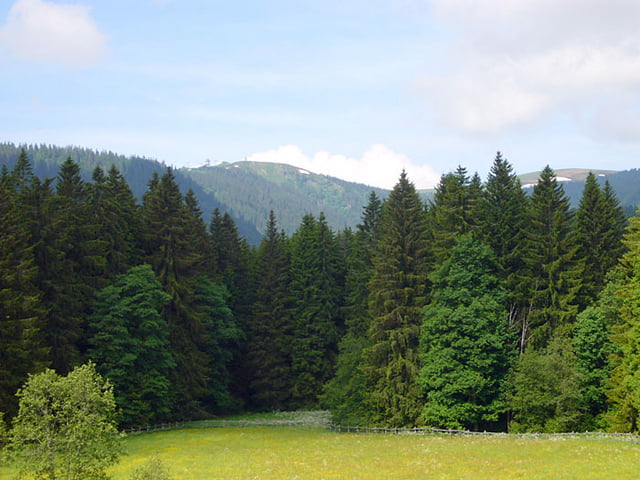 Auf den Feldberg