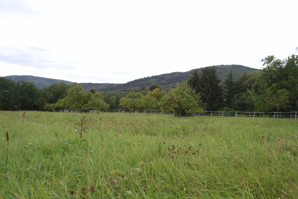 090906_Runde zum Rettershof