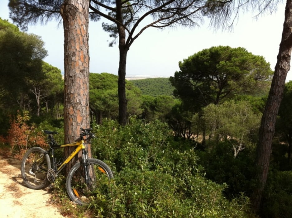 „Conil entdecken III“ (Conil – Vejer – Kap Trafalgar)